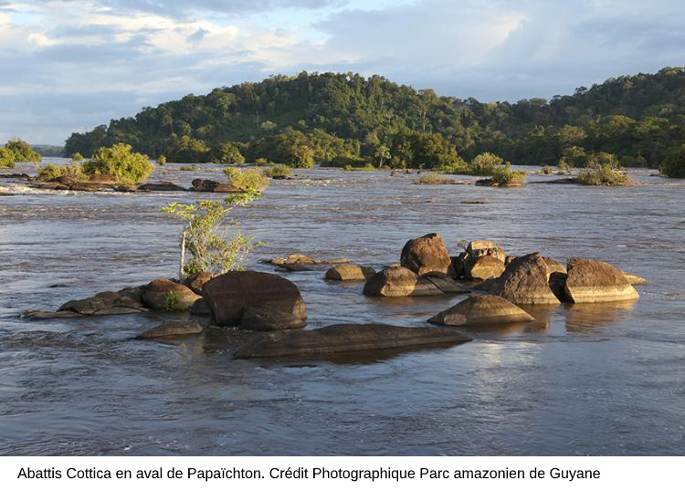 Les abttis Cottica sur le Maroni, crédit photographique parc amazonien de Guyane
