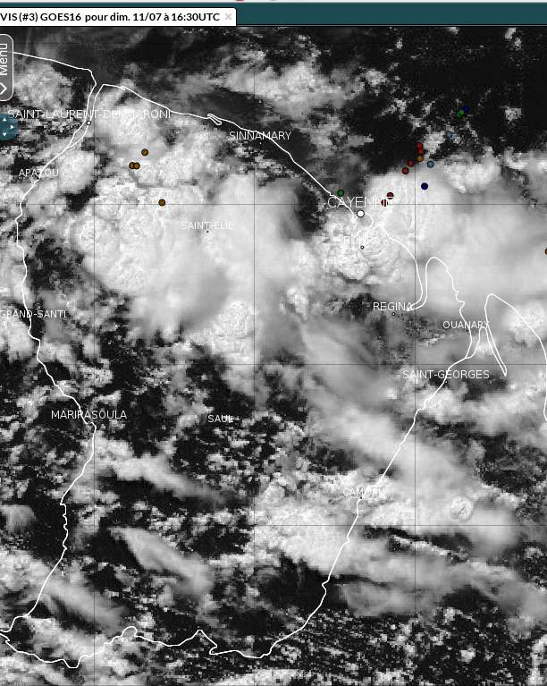 Image satellitaire de dimanche 11 juillet 2021 sur la Guyane