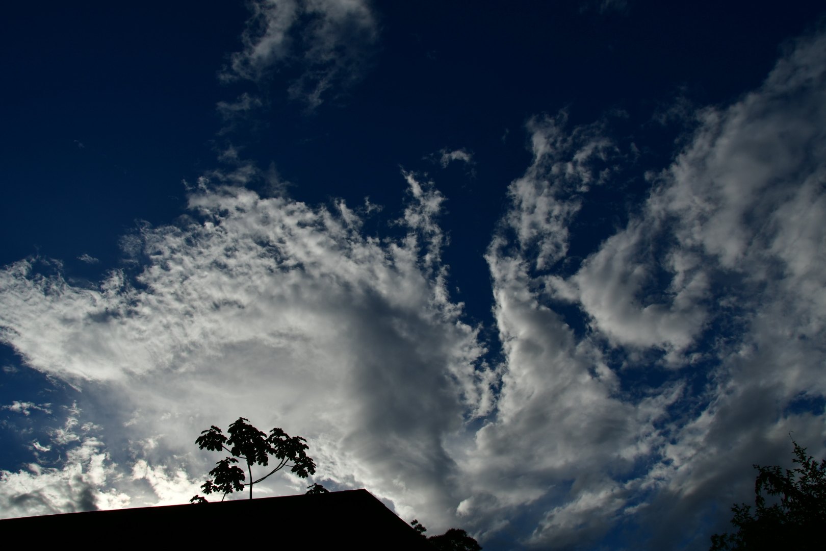 Les nuages s'éloignent pour la fin d'année