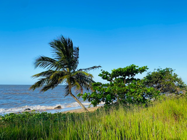 Plages de Rémire-Montjoly sous le soleil