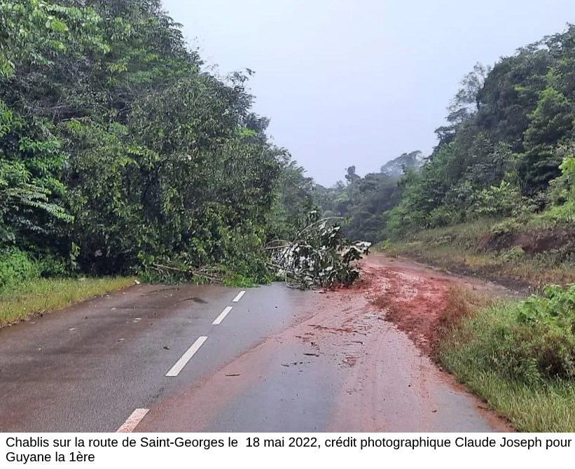 Chablis sur la route de saint-Georges le  18 mai 2022