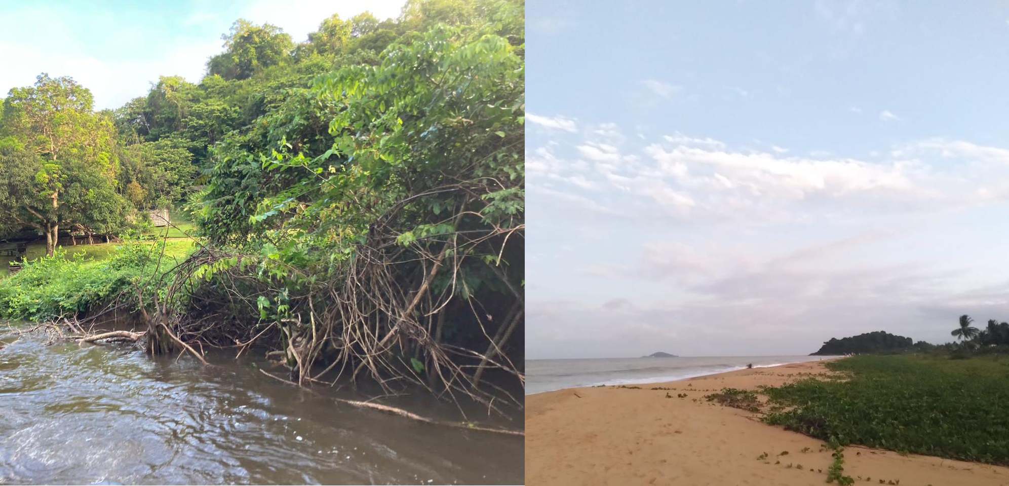 Plage de Rémire et rivière Camopi.