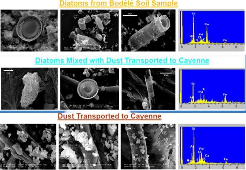 Analyse au microscope  à  balayage électronique de particules sahariennes