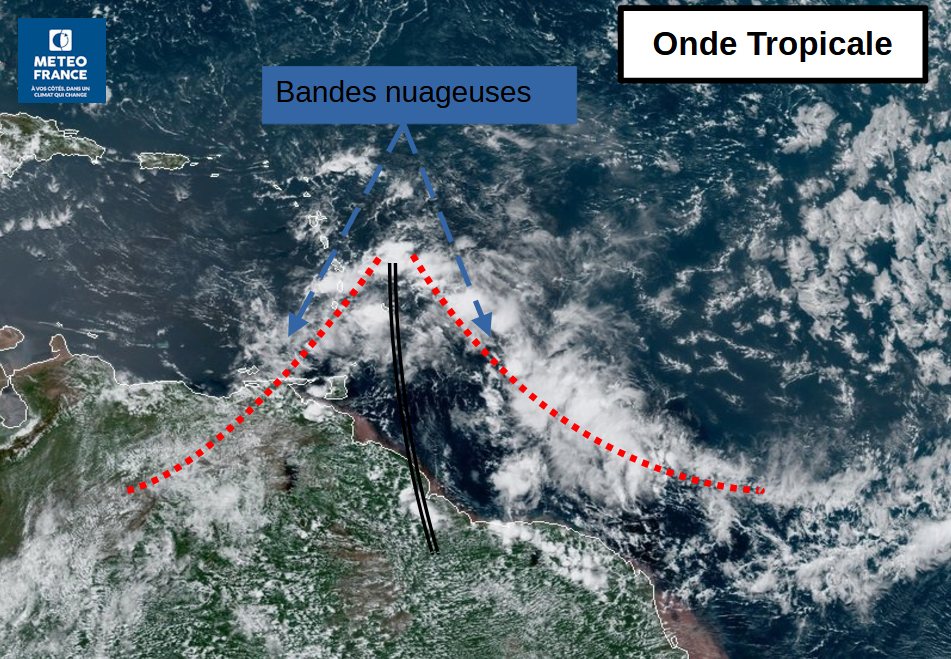 ​Struture en V inversé typique d'une onde tropicale [Cliquer et glisser pour déplacer] ​