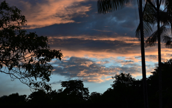Ciel de guyane au crépuscule