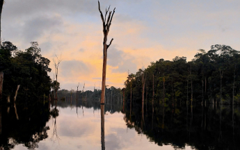 Le lac de Petit-Saut en Guyane