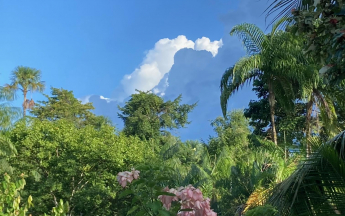 Soleil s'imposant dans le ciel guyanais