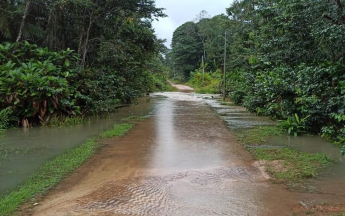 Piste inondée en Guyane en mars 2022