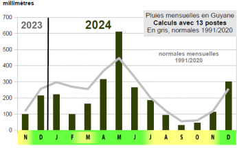 Graphe pluviométrie annuelle 2024