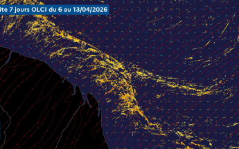 Présence de radeaux de sargasses _ Situation du10/04/2026 