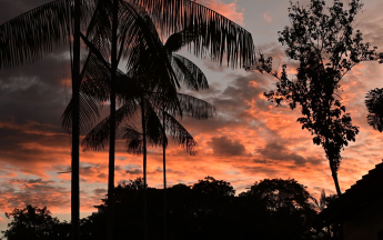 Guyane