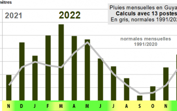 Pluviométrie année 2022