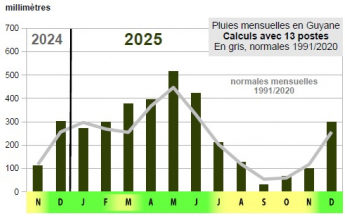 Graphe pluviométrie 2025