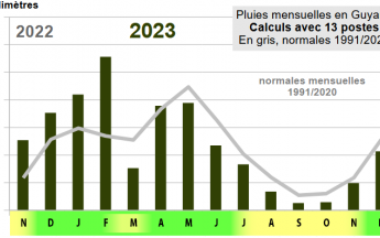 Pluviométrie année 2023