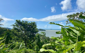 Point de vue sur le Rorota
