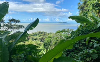 Vue sur l'océan depuis le Rorota