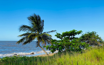 Ciel dégagé sur les Salines de Montjoly
