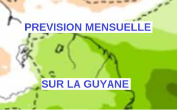 Prévision mensuelle Guyane