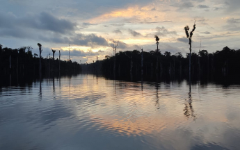 Fin de journée sur Petit-Saut