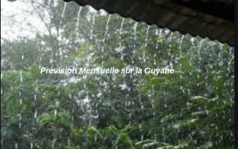 Prévision mensuelle Guyane
