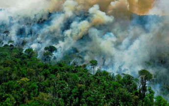 Un incendie progresse en lisière de forêt  en Amazonie