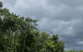 Début décembre 2021, le ciel se charge de nuages menaçants le long de la route de l'Est