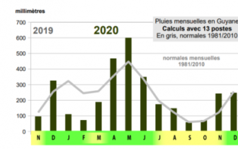 Un début d'année très sec suivi de pluies excédentaires  à  partir d'avril