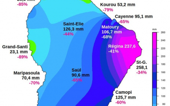 Carte montrant la pluviométrie de février et les écarts aux normales