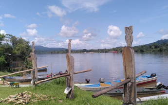 Pressoirs de canne  à  sucre au bord du fleuve maroni à Papaïchton
