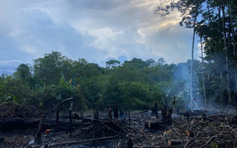 feu d'abattis en octobre 2021 avec cumulonimbus en arrière plan