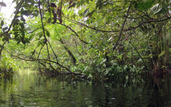 Le lac Pali en amont de la crique Gabrielle