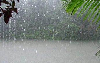 Illustration des pluies en Guyane