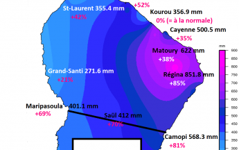 Pluviométrie abondante sur la guyane en janvier 2021