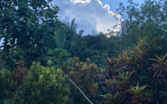 en novembre  2021, les jardins sont restés verts et les averses n'étaient jamais très loin.