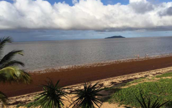Le 19 avril 2018: échouage important de sargasses sur les plages de Rémire-Montjoly