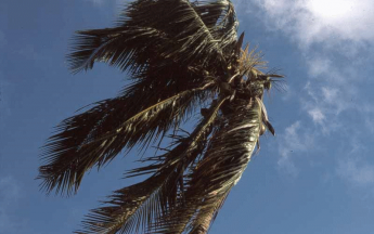 Les Alizés, d'où viennent-ils et où vont-ils ?