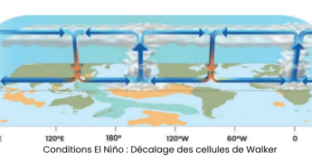 A quoi s’attendre en Guyane avec le retour probable d’El Niño en 2026 ?