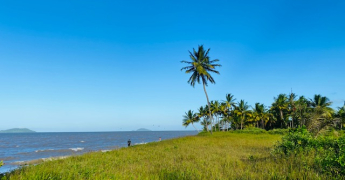 Une saison sèche bien installée en Guyane.