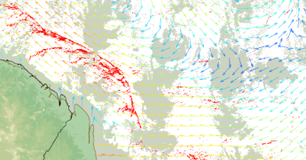 Sargasses : des échouements significatifs sur littoral guyanais en avril