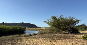 La Guyane est entrée dans le coeur de la saison sèche
