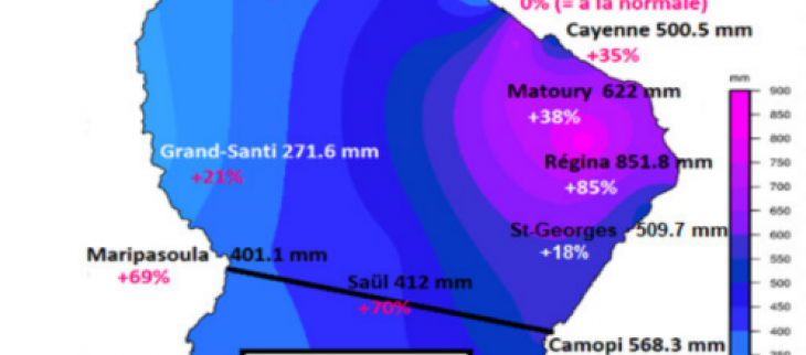 Carte des cumuls des pluies de ce mois de janvier 2021