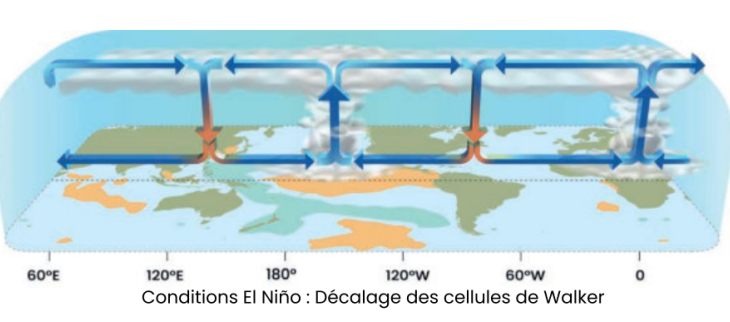 Météo-France Antilles-Guyane