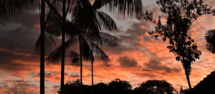 Guyane