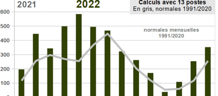 Pluviométrie année 2022