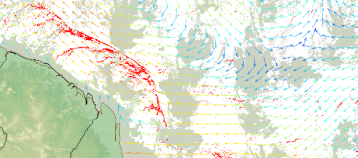 Présence de radeaux de sargasses _ Situation du10/04/2026 