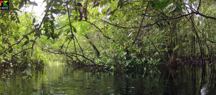 Le lac Pali en amont de la crique Gabrielle