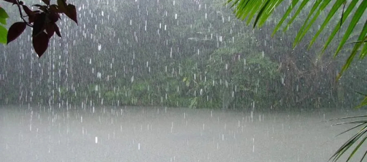 Illustration des pluies en Guyane