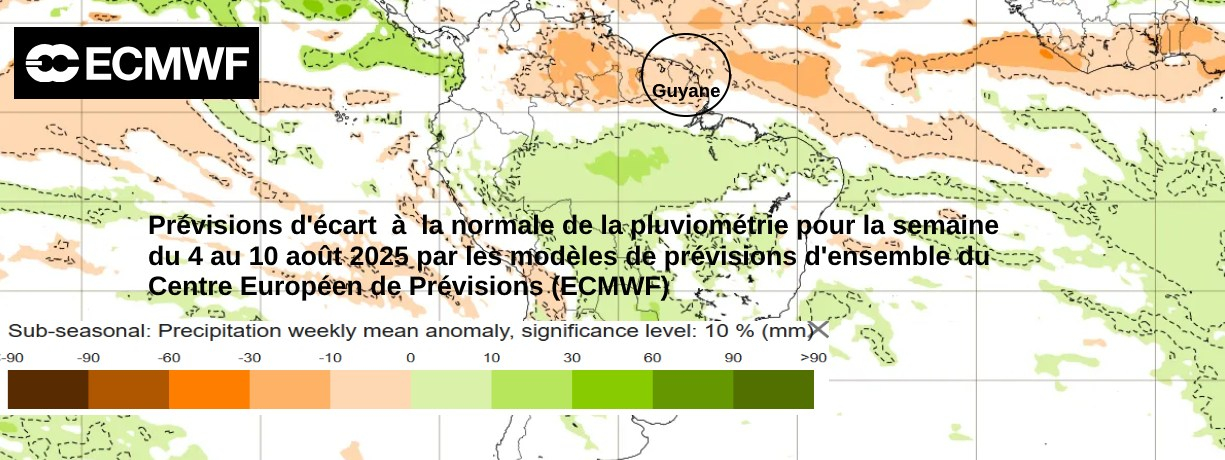 Prévisions d'écart  à la normale de la pluviométrie pour la semaine du 4 au 10 août (source ECMWF)