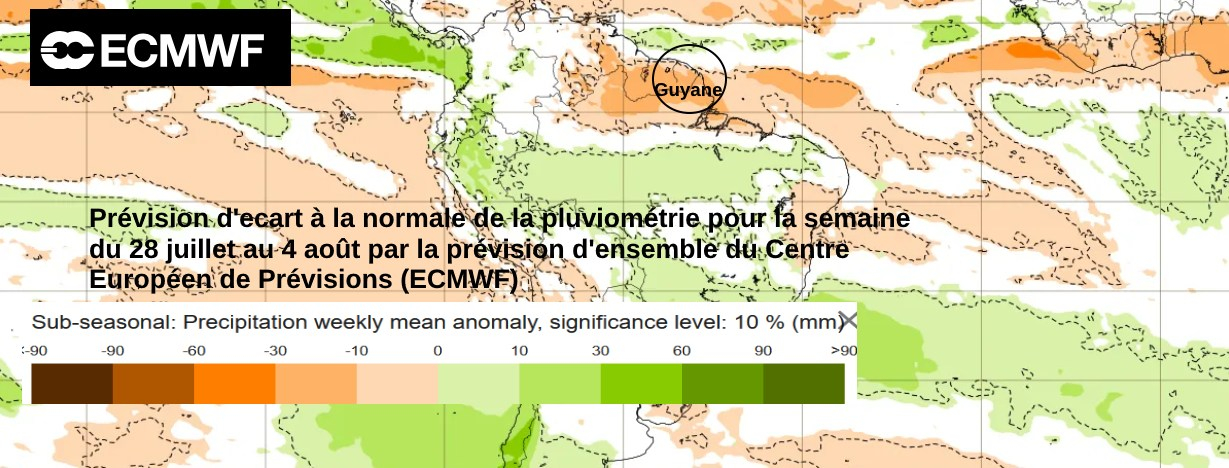 Prévisions d'écart  à la normale de la pluviométrie pour la semaine du 28 juillet au 3 août (source ECMWF)