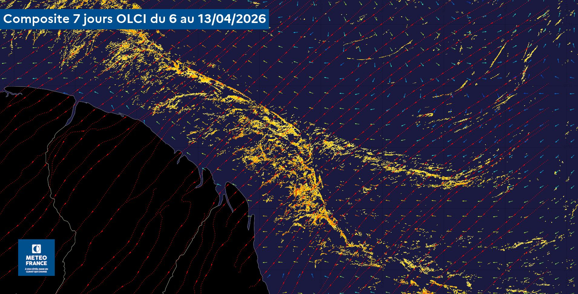 Présence de radeaux de sargasses _ Situation du10/04/2026 